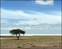 Etoscha National Park