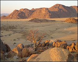 im Namib Naukluft Park